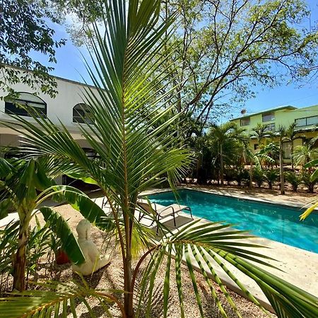 Casa Alice Marbella Lodge מראה חיצוני תמונה