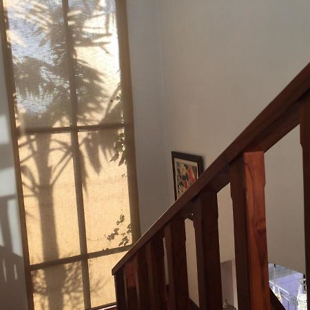 Casa Alice Marbella Lodge מראה חיצוני תמונה