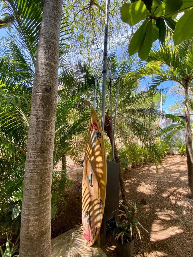 Casa Alice Marbella Lodge מראה חיצוני תמונה