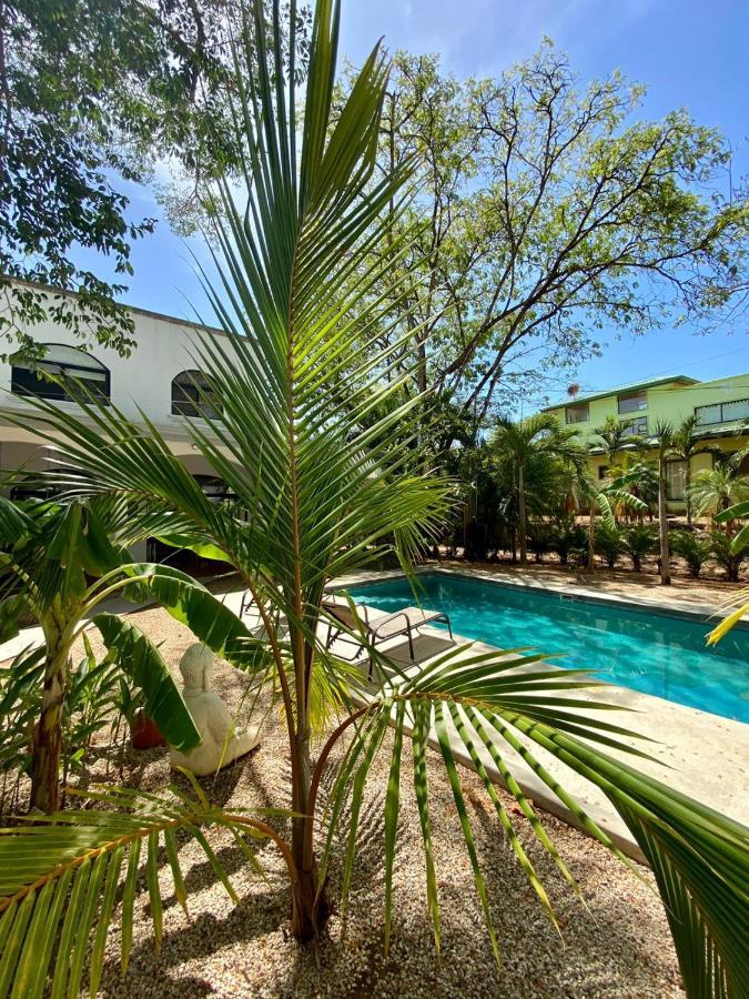 Casa Alice Marbella Lodge מראה חיצוני תמונה