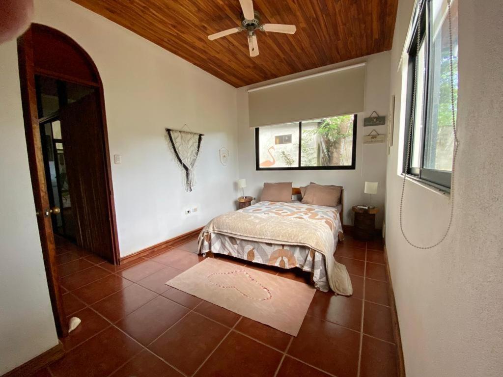 Casa Alice Marbella Lodge מראה חיצוני תמונה